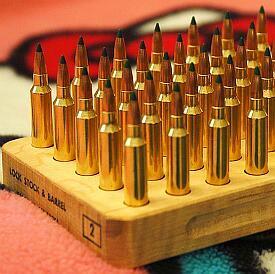 Cooper Montana Varminter 204 Ruger
